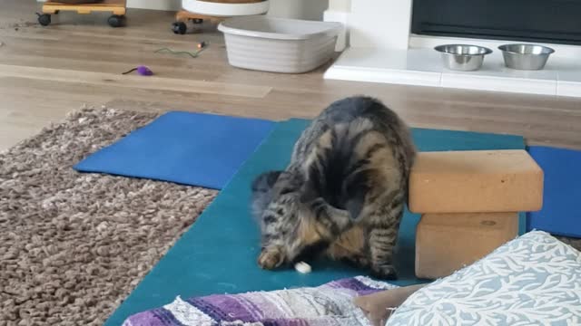 Quincy playing with her lego