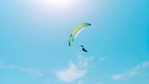 Can you fly