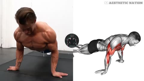 8 BEST (push up) exercise