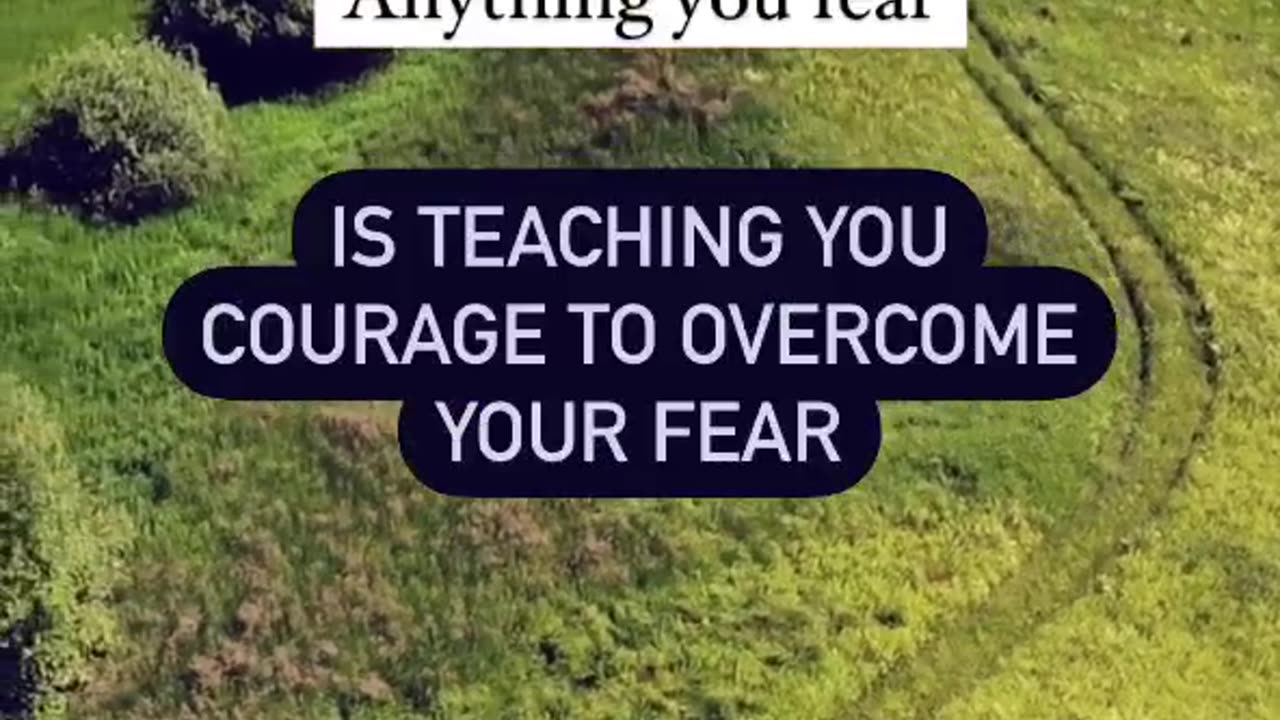 "Everything in Life"