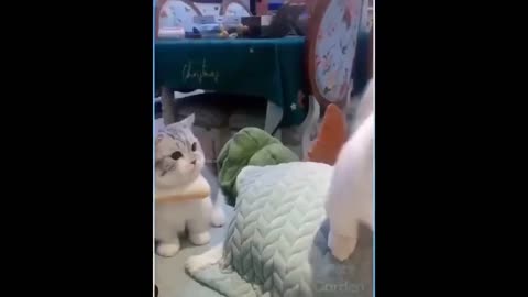 Best Funny Animal Videos OF 2024