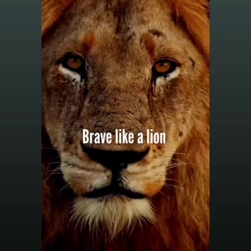 Friends and Enemies.