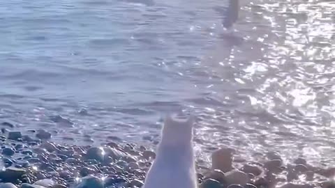 What's on the other side of the sea?