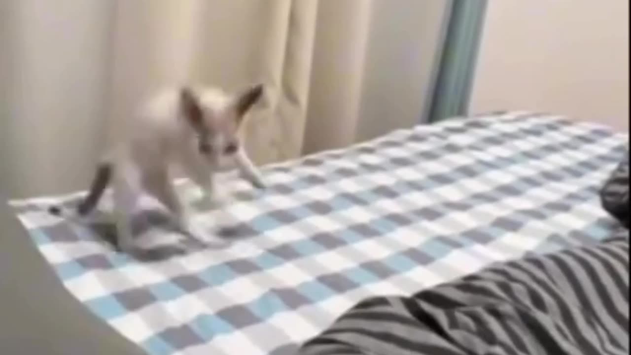 Way too much excitement 🤣🤣🤣🤣