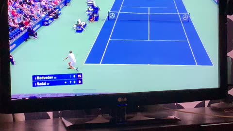 Curious kitten watching tennis!