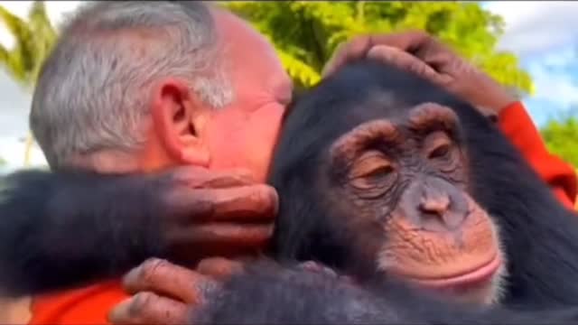 When animals reunite with their owners.