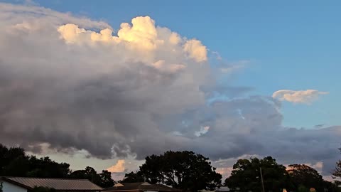 Clouds of Birds