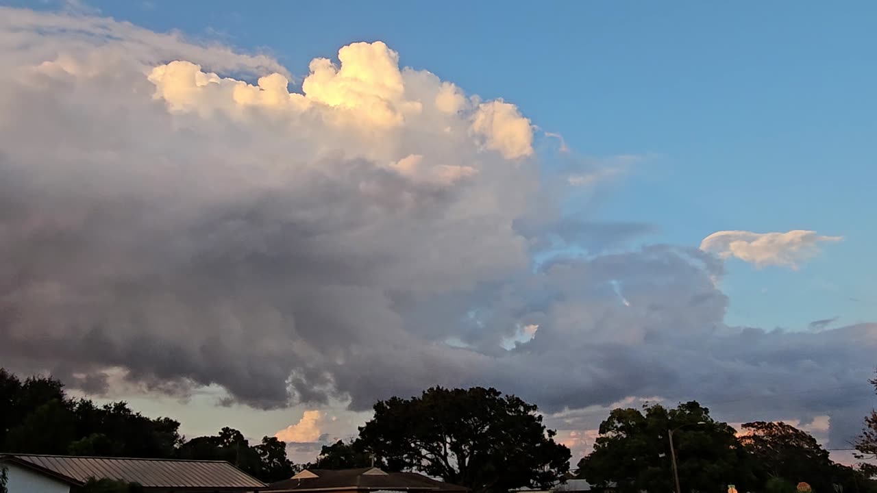 Clouds of Birds