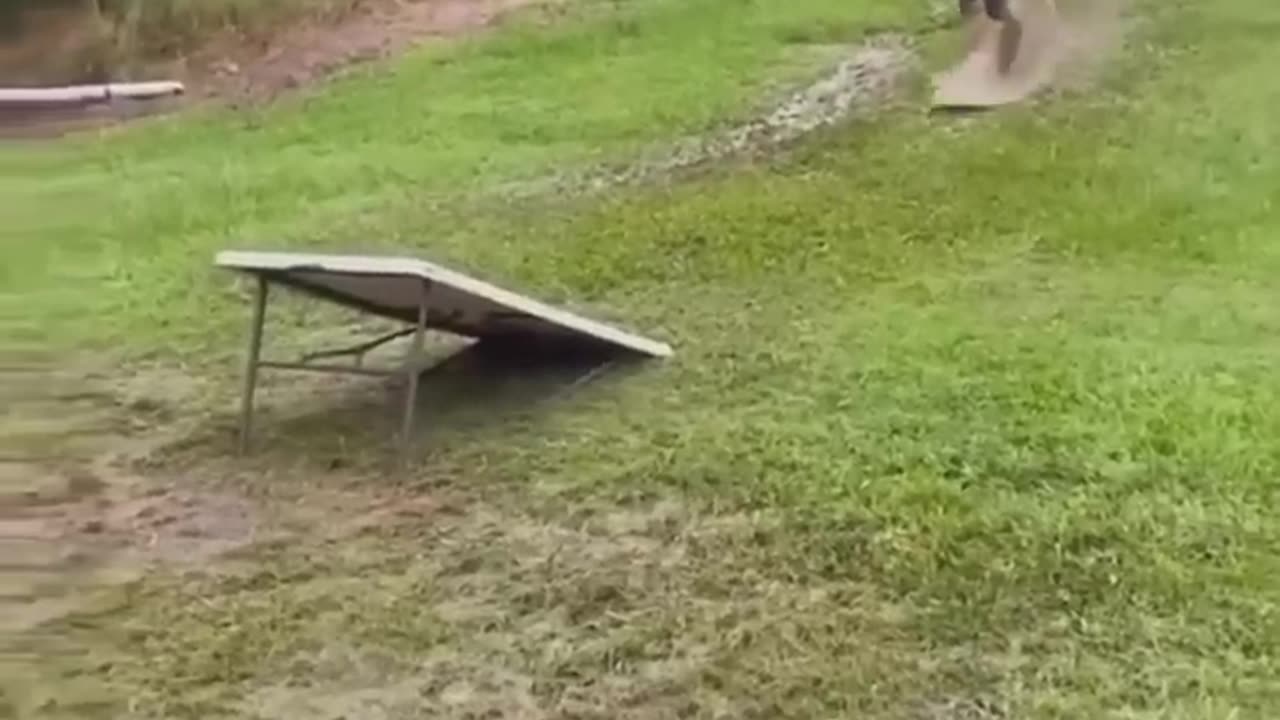Funny shorts