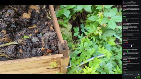 2023-06-14 (5bis.2) - Tentative de comprendre les règles de Twitch + Abandon - Kick (avec chat)