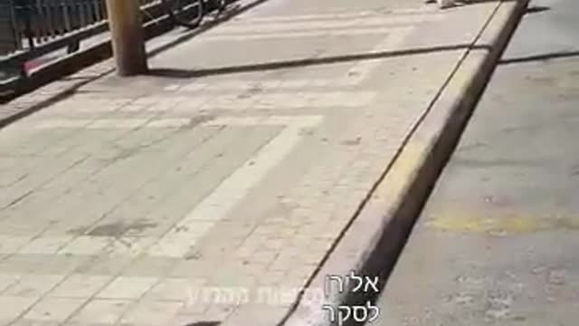 פעילי יש עתיד גוזלים ציוד של הליכוד ומשחיטים אותו