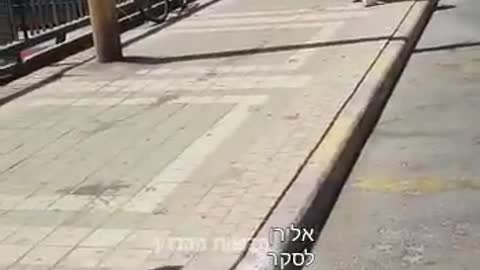 פעילי יש עתיד גוזלים ציוד של הליכוד ומשחיטים אותו