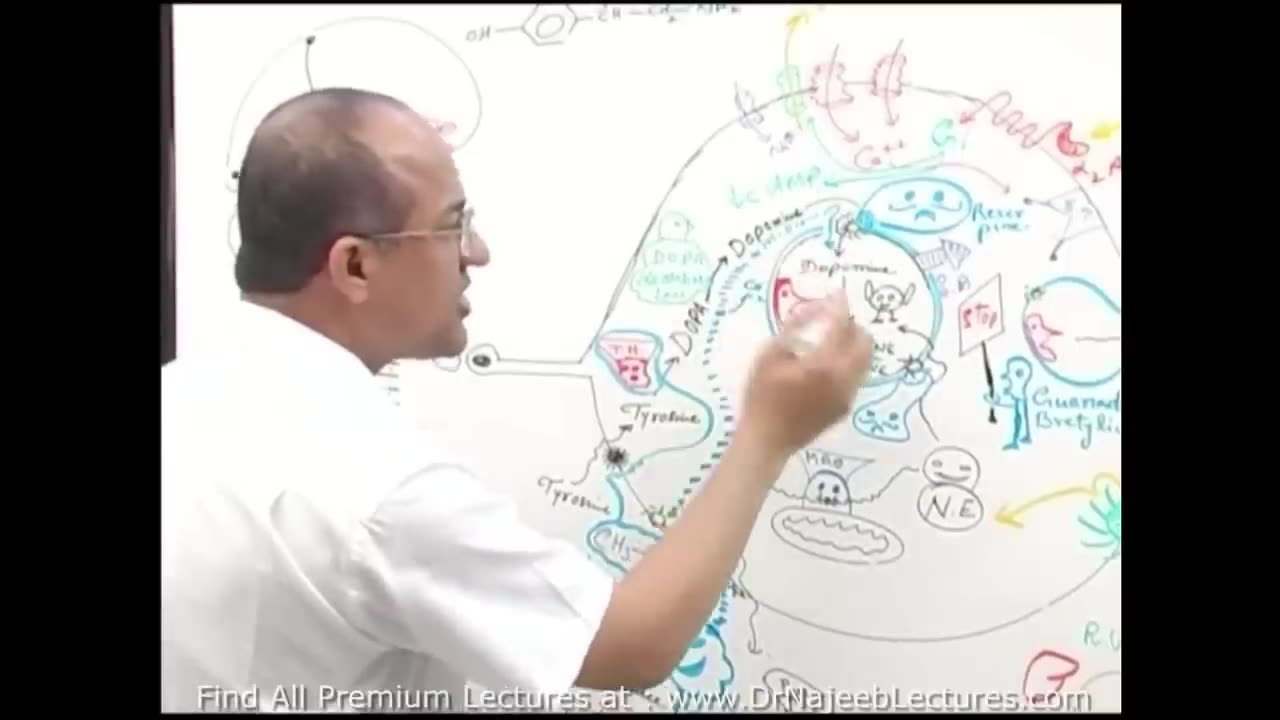 Adrenergic Drugs Part 1 | Pharmacology | DrNajeebkhalid