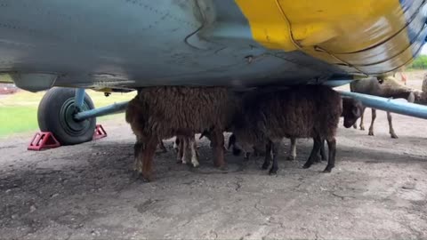 "Come On Guys, We Were Supposed to Have These Tires Changed Hours Ago."