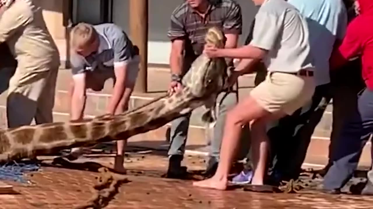 Unbelievable jackal rescue from a deep well