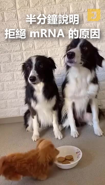 半分鍾說明——拒絕 mRNA 的原因