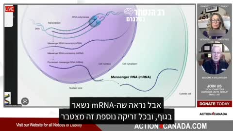 הקרדיולוג הבכיר, ד"ר פיטר מקולה: אני ממליץ להמנע ממגע אינטימי עם אנשים שנטלו את זריקת הקורונה במשך 90 יום מיום הזריקה