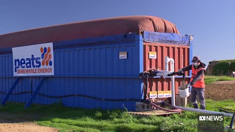 New trail aims to recycle disposable nappies for compost and biogas _ ABC News