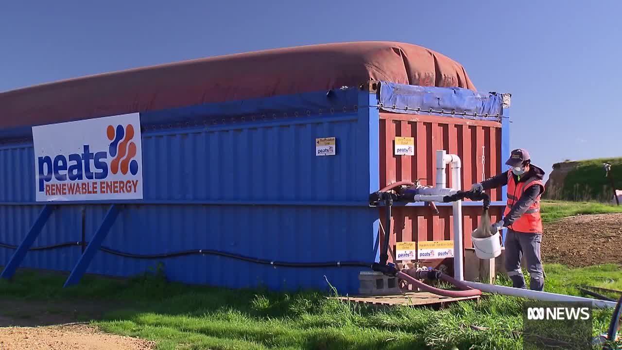 New trail aims to recycle disposable nappies for compost and biogas _ ABC News