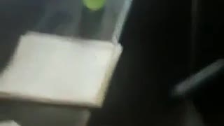 Drunk cops attack chief