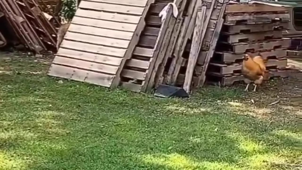I watch this over and over again