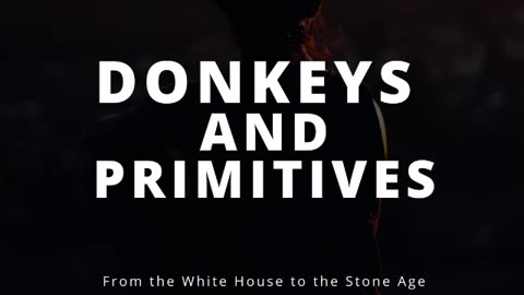 Donkeys And Primitives