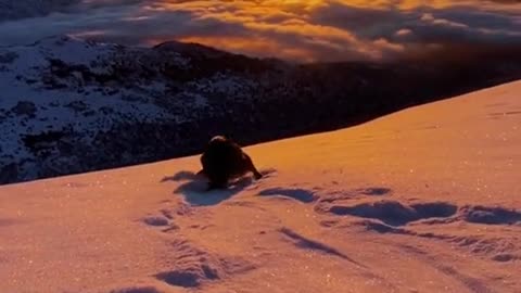 Watching the Sunrise on the Snow Mountain