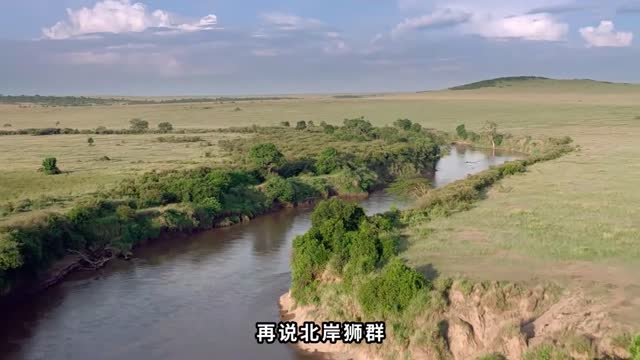 Disney Africa Documentary-2