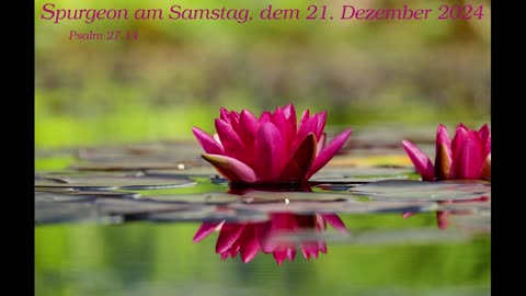 Spurgeon am Samstag, dem 21. Dezember 2024 zu Psalm 27,14