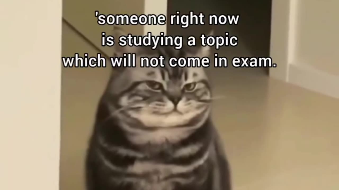 Life hack