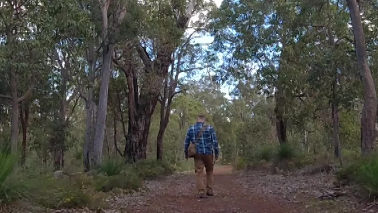 Cockatoo Circuit Too