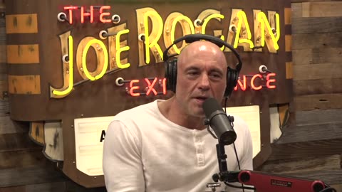 KATT WILLIAMS The Joe Rogan Experience