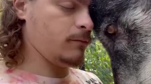 Absolute Trust