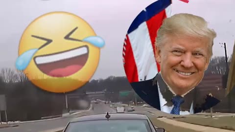 Idiots In Cars