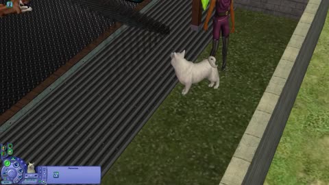 The Sims 4 Cats & Dogs Review- for all the Sims Fans