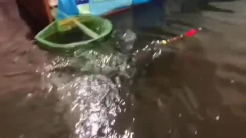 Caught a fish sitting on the bed!!