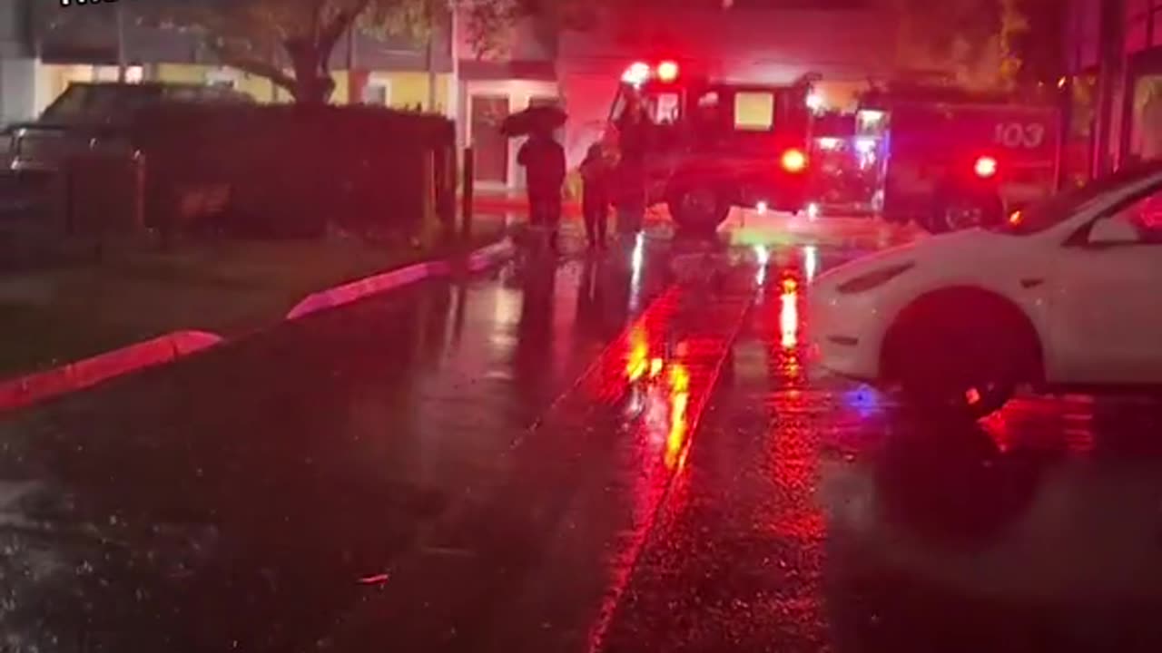 Alien in our neighborhood