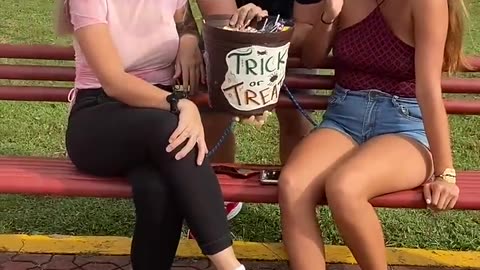 HAND IN BUCKET ( PRANK )!! 🤣- #Shorts #frank
