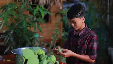 Harvest Lotus root and pick fruit for cooking