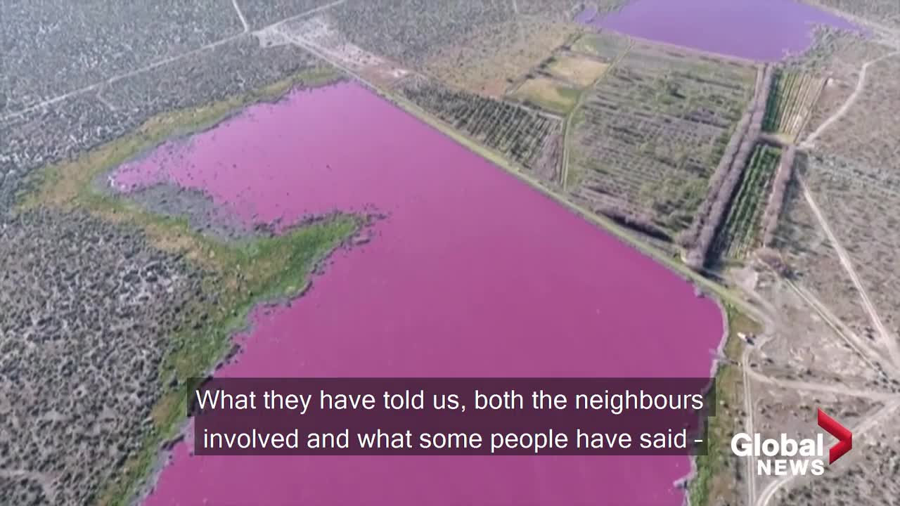 Why have two Argentina lakes turned pink? Environmentalists say it is because of pollution