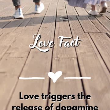 The Role of Empathy in Relationships