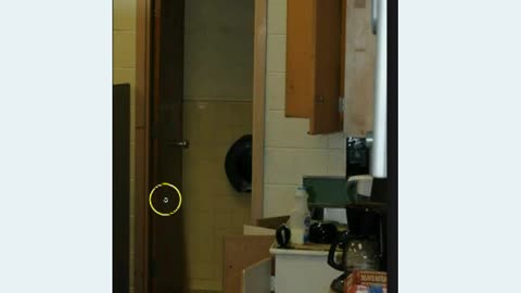 'Sandy Hoax - Toilet Door Bullshit' - 2015