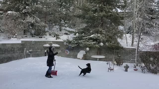 Hunter & Debbie Playing in snow 12.29.21