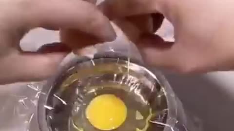 How A Chick Born From A Egg 🐣 - Interesting Video - 😱