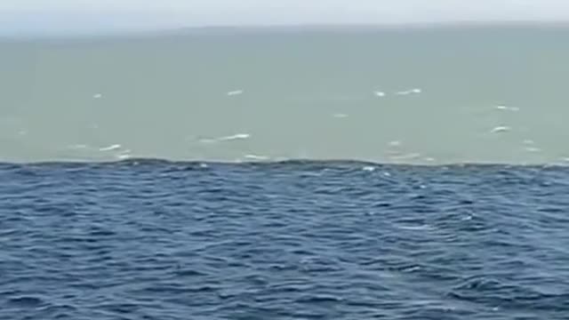 Clips You Need To See Before You Die 😯🌏