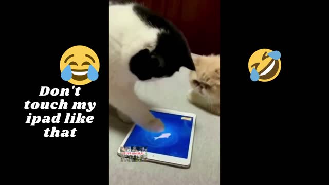 DON'T TOUCH MY IPAD LIKE THAT!!!