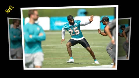 Miami Dolphins News