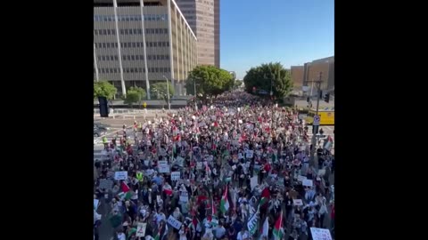 Pro-Palestinian rally held in Los Angeles