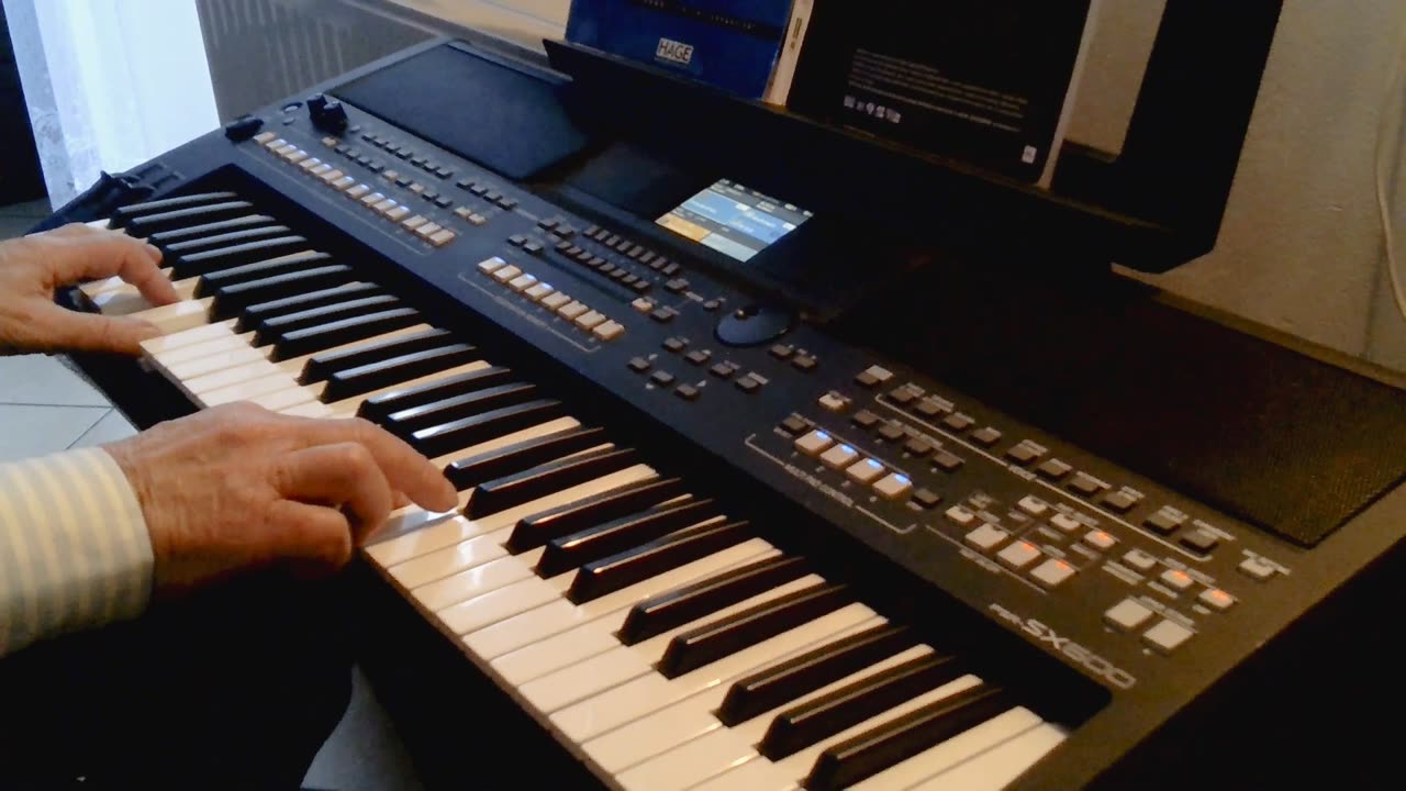 Silent night (Cicha noc) cover by Henry, Yamaha PSR-SX600