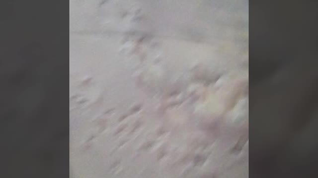 winter video